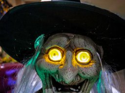 BB 06 I AM YOUR BLIND DATE   HONEY